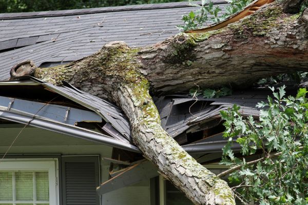 Cost of Storm Remediation in Middletown