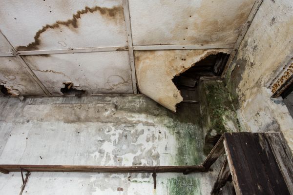 Cost of Water Damage Service in Middletown