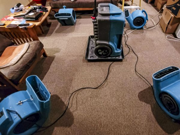 Cost of Flood Damage Recovery in Middletown
