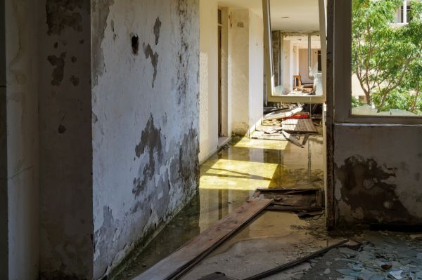 Cost of Water Removal Service in Middletown