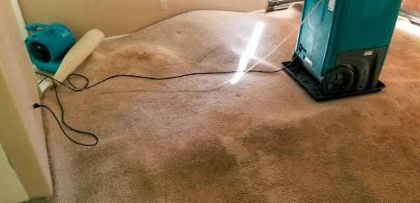 Carpet Water Extraction in Middletown