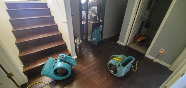 Cost of Water Damage Remediation in Middletown