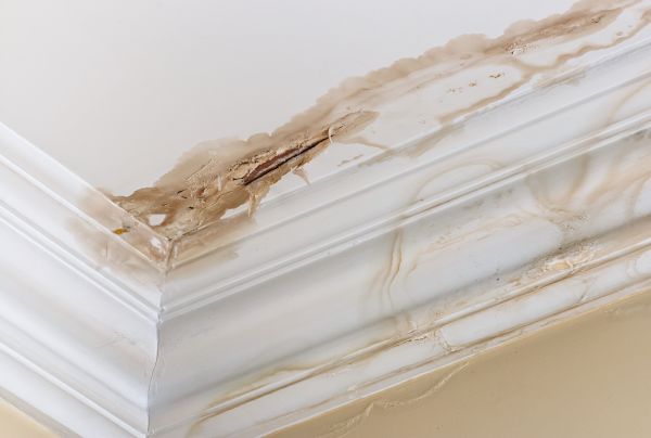 Cost of Water Damage Recovery in Middletown